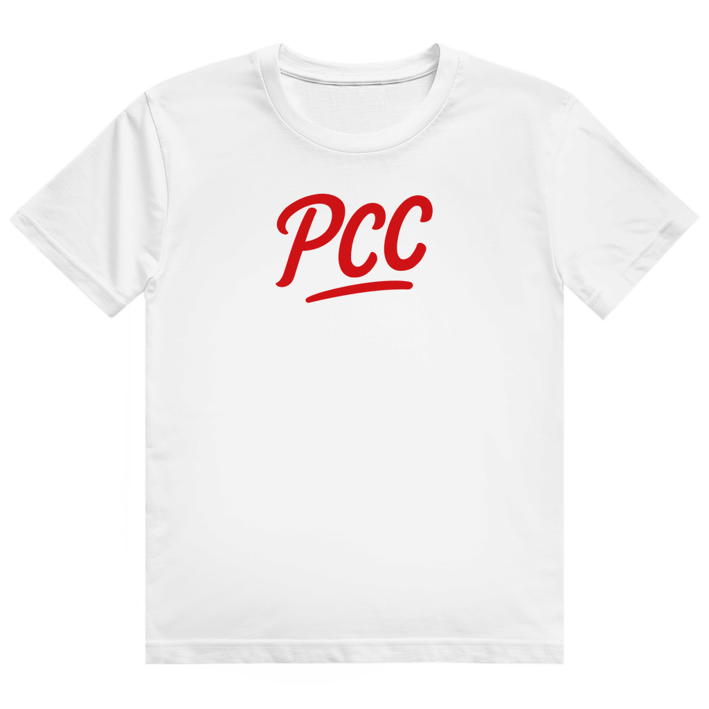 Nichts geschenkt - Alles gefühlt - Unisex Premiumshirt