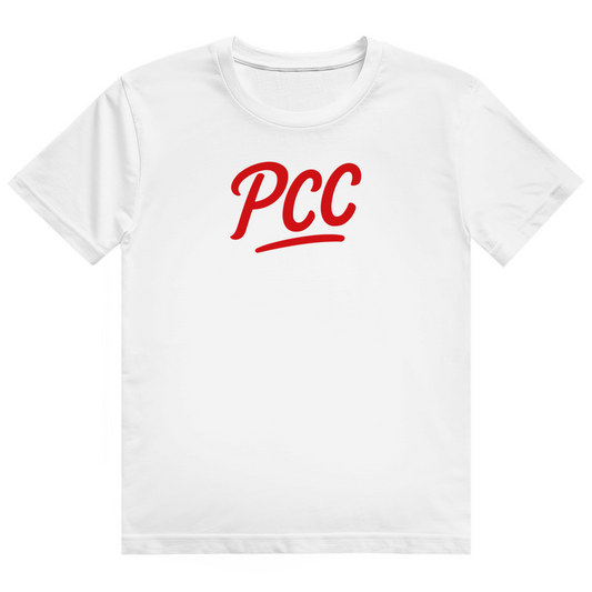 Nichts geschenkt - Alles gefühlt - Unisex Premiumshirt